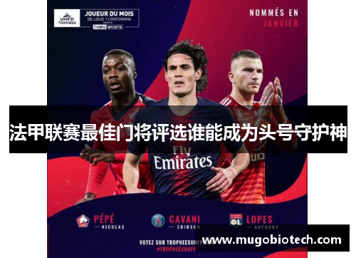 法甲联赛最佳门将评选谁能成为头号守护神