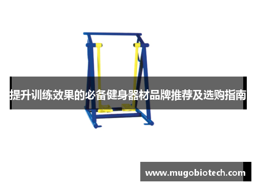 提升训练效果的必备健身器材品牌推荐及选购指南