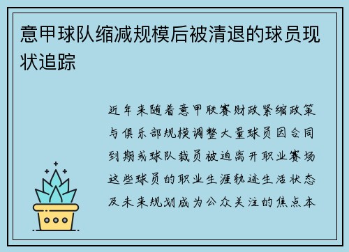 意甲球队缩减规模后被清退的球员现状追踪